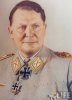 reichsmarschall_hermann_goering_by_hashem37927-d4sykl0.jpg