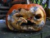 dead-pumpkin.jpg