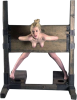 pillory002.png