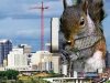 01-giant-squirrel.jpg