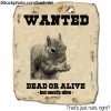 110412_wanted.jpg