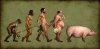 funny-evolution-151.jpg