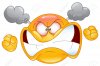 13629392-Furious-emoticon-Stock-Vector-angry-face-smiley.jpg