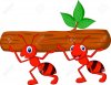 24336473-Team-of-ants-cartoon-carries-log--Stock-Vector-ant-cartoon-mascot.jpg