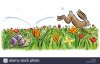 easter-frhlingswiesetulpen-daffodil-hare-snail-easter-easter-greetings-C9906E.jpg