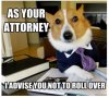 Lawyer-Dog.jpg