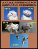 hurricane cat agories.jpg