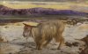 bbcf3-4 William_Holman_Hunt_-_The_Scapegoat.jpg