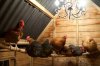 04-chicken-coop.jpg