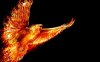 firebird-862x539.jpg