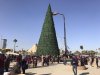 xmas tree Baghdad.jpg