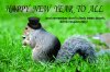 newyearsquirrel2.jpg