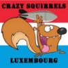 squirrelfromcrazysquirrelsluxembourg.jpg