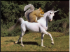 squirrel-on-unicorn1.png