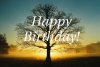 scenictreehappybirthday.jpg