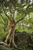 depositphotos_9614246-stock-photo-nude-woman-in-nature.jpg