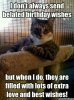 2c3d535aaf703df89fb9f8f617b11edb--birthday-posters-birthday-memes.jpg