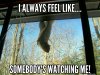 I-always-feel-like-somebodys-watching-me-Squirrel-Memes.jpg