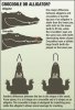 Infographic-on-the-difference-between-crocodiles-and-alligators.jpg