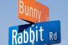 bunny-rabbit-road-sign-photo-007834.jpg