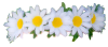 flowercrown3.png