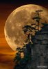 Madiosi-2018-219-big moon.jpg