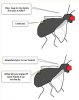 mite-puns.jpg