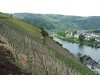 1200px-080110_zell_mosel.JPG