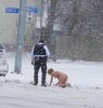 Naked In Buffalo.jpg