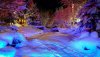 winter-christmas-lights-nature-snow-nights-magic-colorful-desktop-wallpaper-scenes-1366x768.jpg