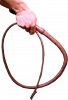 whip001.png