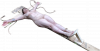 Vivian-Crucified020.png.png