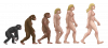 Female_human_evolution.png