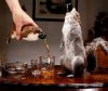 Dead Squirrel Beer.jpg