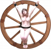 Wheel001.png.png