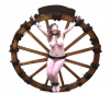 Wheel015.png.png