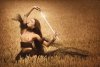 soul_of_the_dragon_by_artofdanphotography_dcslyun-fullview.jpg