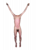 Body (111).png