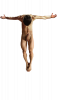 Body (233).png