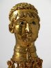 Gold-head-Barb-768x1024.jpg