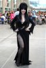 Elvira+Elvira+Mistress+Dark+Photo+Op+Comic+EdmS92so-iYl.jpg