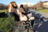 vienna-redhead-nude-public-voyeurweb-09-800x533.jpg