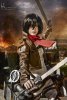 mikasa6.jpg