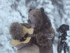 Talented Bear.gif