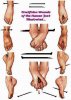 Feet different Nailingways.jpg