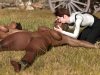 naked_staked_out_pony_girl_being_molested_by_sgtrock75_ddoogxo.jpg