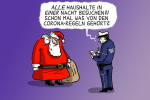 Screenshot_2020-12-04 Die Karikaturen des Tages.png