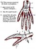 Wounds_of_the_Hands_by_zekesgraphics.jpg