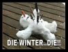 Die Winter!.jpg